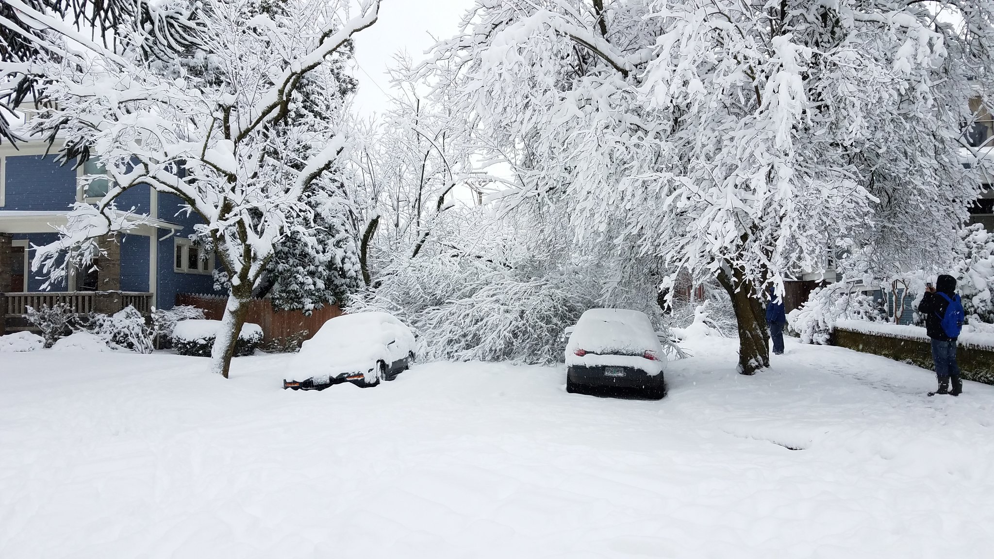 kgw.com | KGW Reporter Notebook: January 2017 snowstorm in Portland